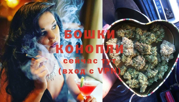 ПСИЛОЦИБИНОВЫЕ ГРИБЫ Белоозёрский