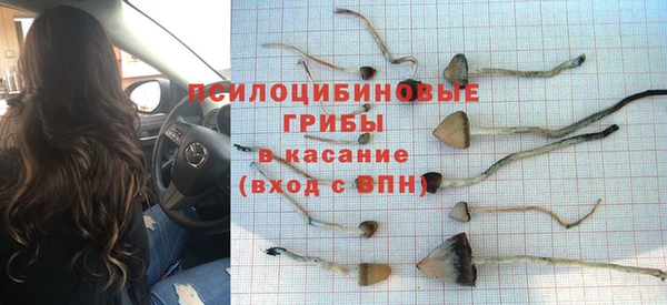 ПСИЛОЦИБИНОВЫЕ ГРИБЫ Белоозёрский