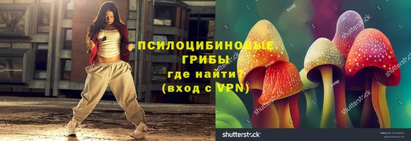 ПСИЛОЦИБИНОВЫЕ ГРИБЫ Белоозёрский